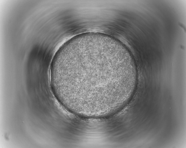 X0000100231032200806271745