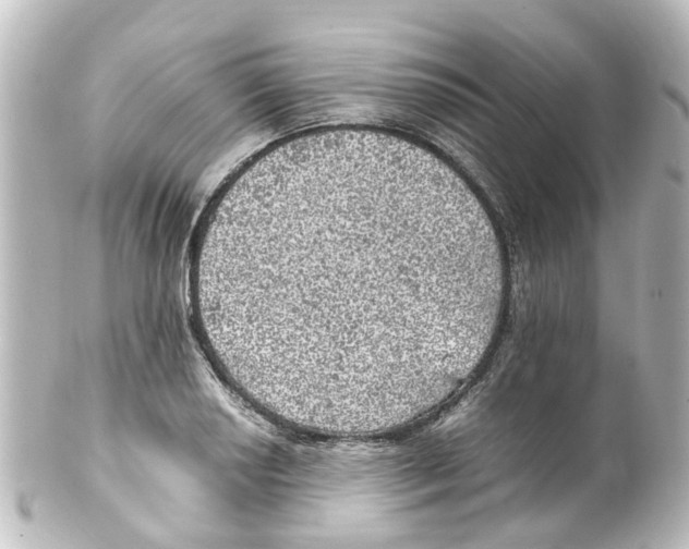 X0000100231034200806271745