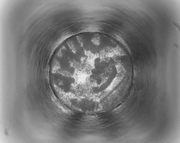 X0000100231035200806271745