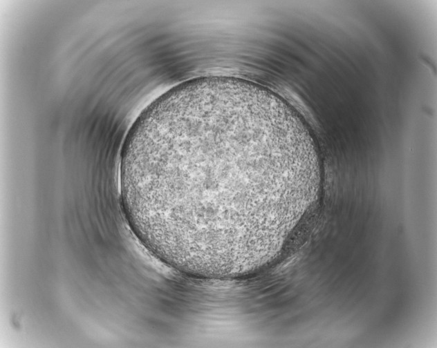 X0000100231036200806271745