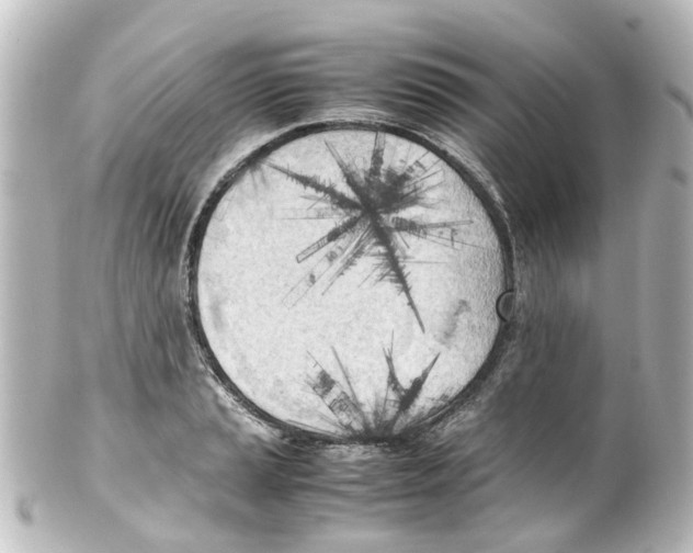 X0000100231037200806271745