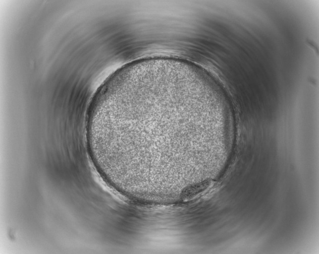 X0000100231038200806271745