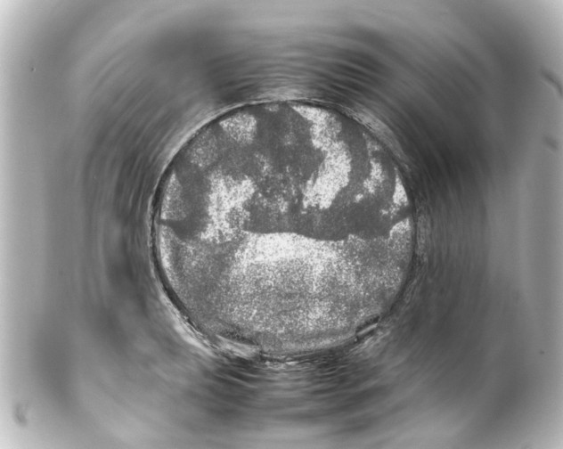 X0000100231039200806271745