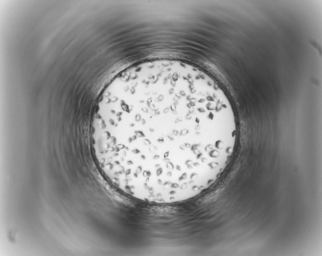 X0000100231041200806271745