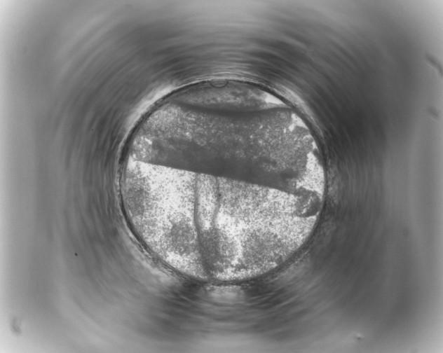 X0000100231043200806271745