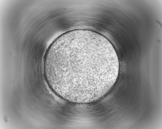 X0000100231046200806271745