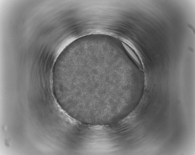 X0000100231048200806271745