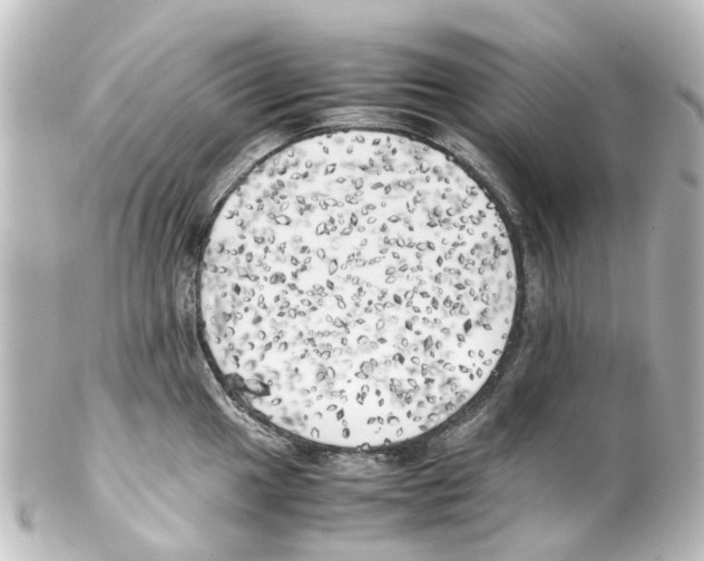 X0000100231049200806271745