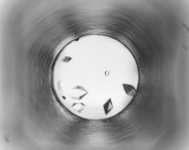 X0000100231050200806271745