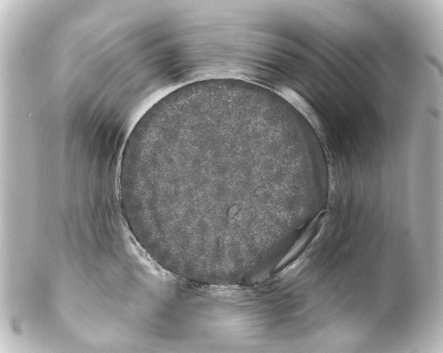 X0000100231052200806271745
