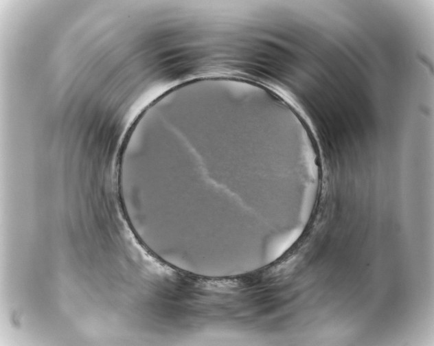 X0000100231053200806271745