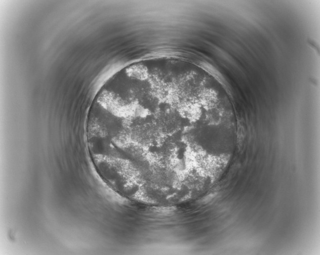 X0000100231055200806271745