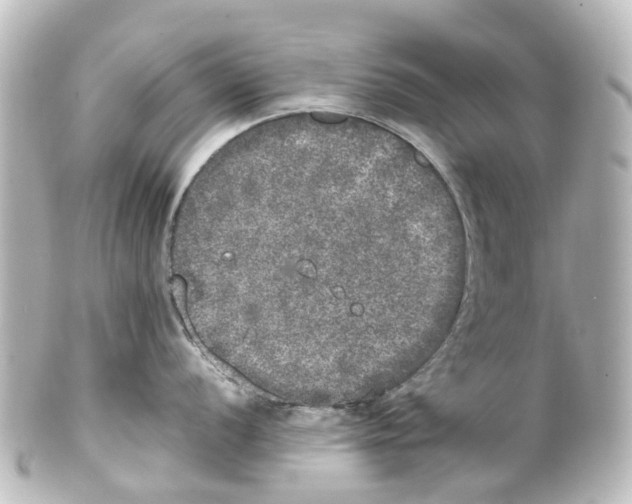 X0000100231056200806271745