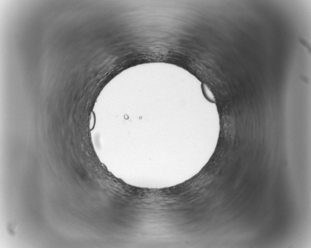X0000100231057200806271745
