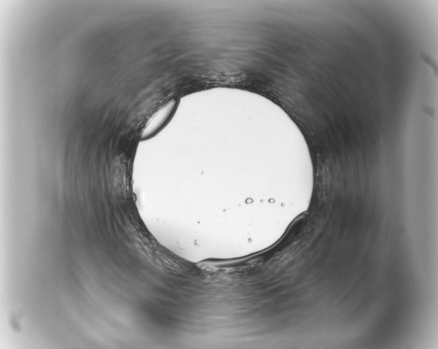 X0000100231058200806271745