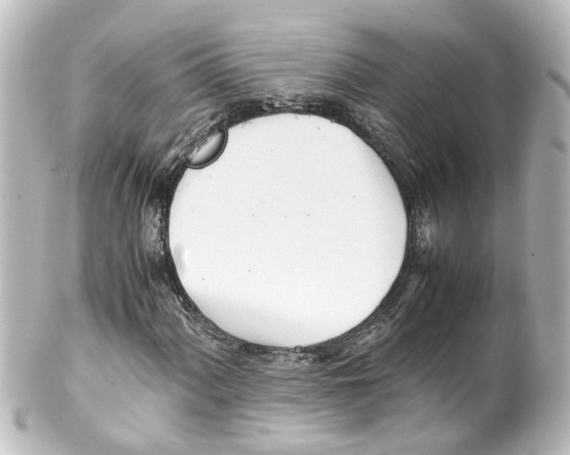 X0000100231060200806271745