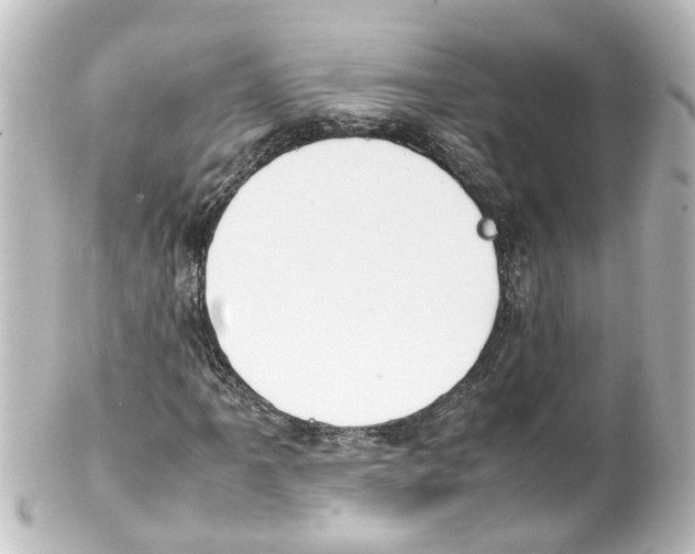 X0000100231061200806271744
