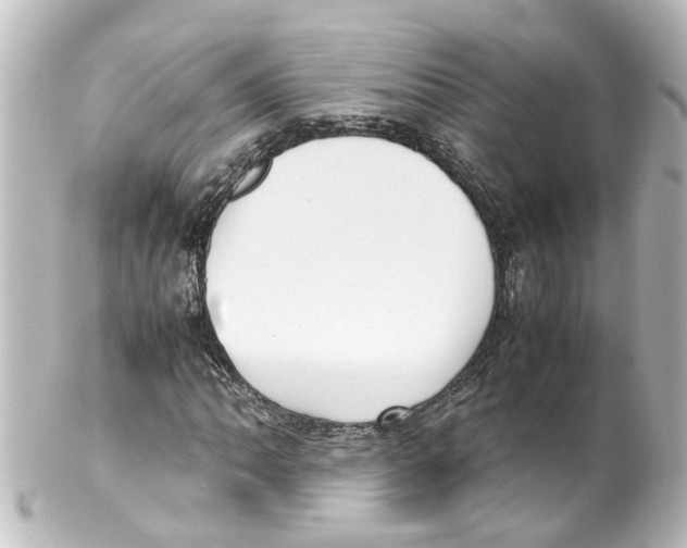 X0000100231062200806271744