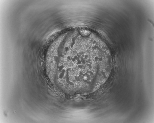 X0000100231063200806271744