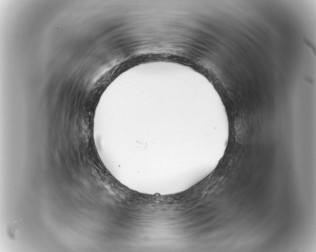 X0000100231064200806271744