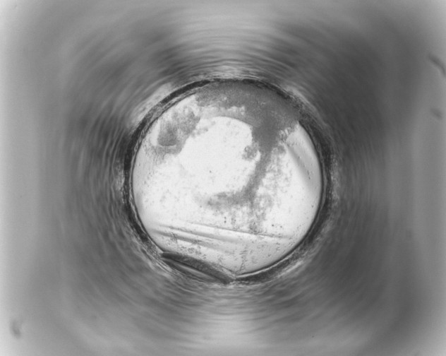 X0000100231065200806271744