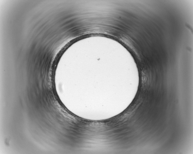 X0000100231068200806271744