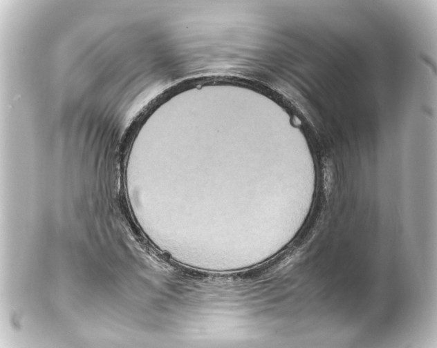 X0000100231069200806271744