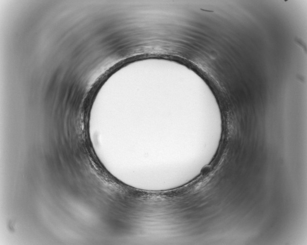 X0000100231070200806271744