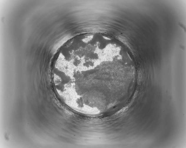 X0000100231071200806271744