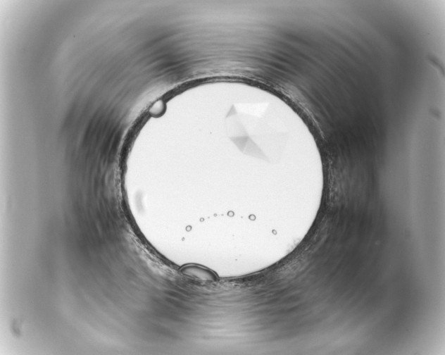 X0000100231072200806271744