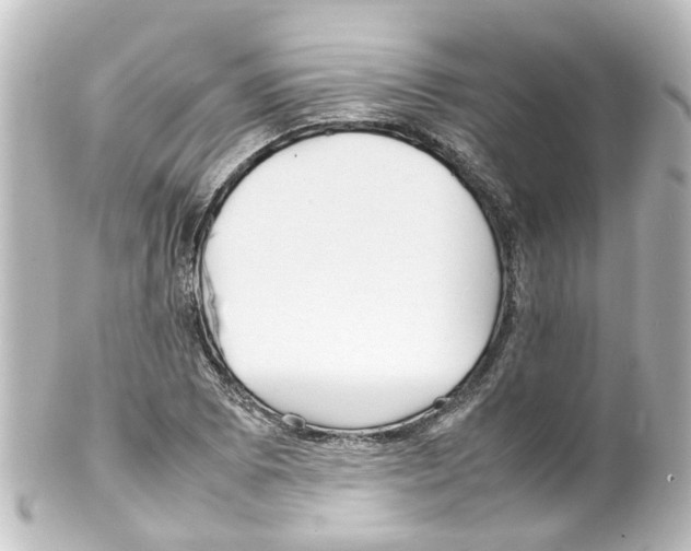 X0000100231073200806271744