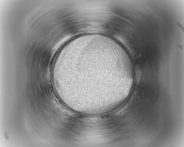 X0000100231074200806271744