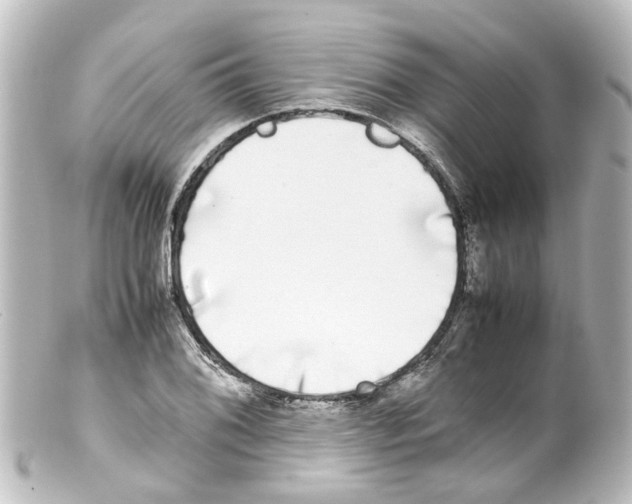 X0000100231076200806271744