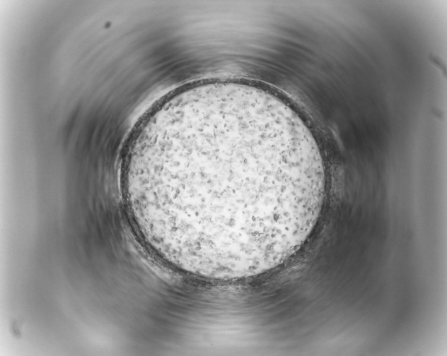 X0000100231078200806271744