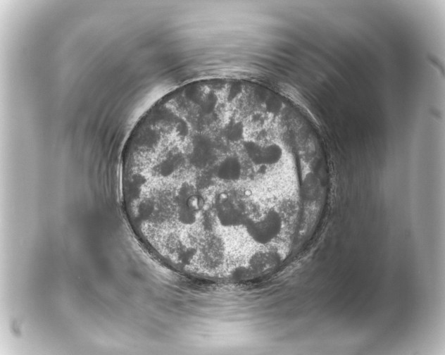 X0000100231079200806271744