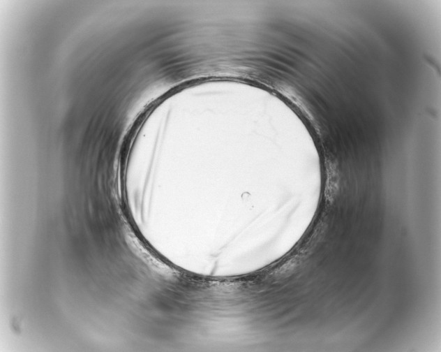X0000100231080200806271744