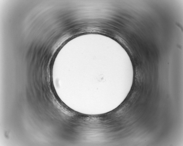 X0000100231082200806271744