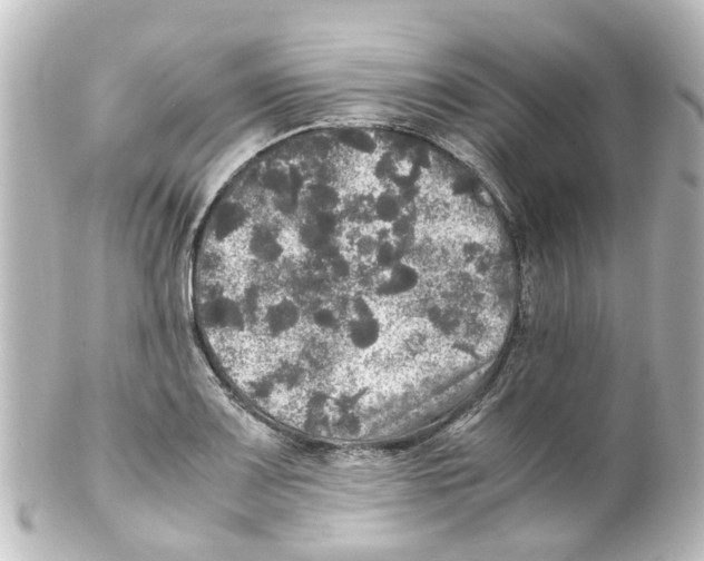 X0000100231083200806271744