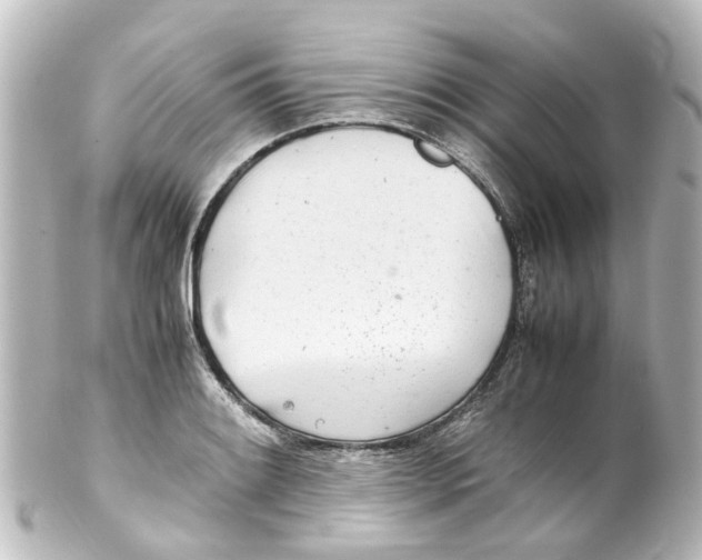 X0000100231084200806271744