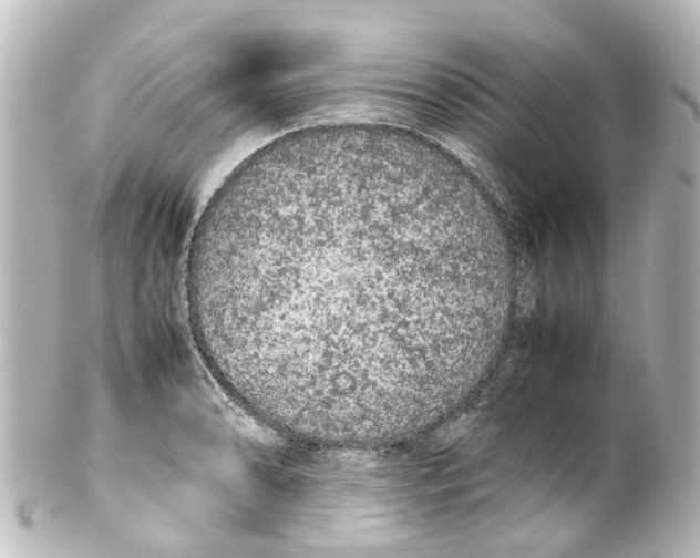 X0000100231086200806271744