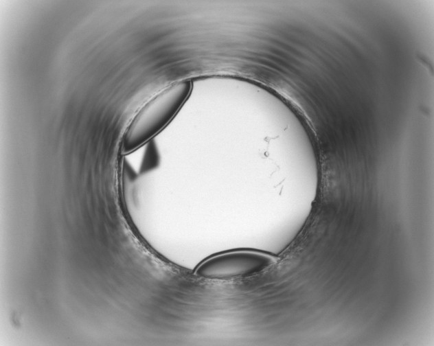X0000100231088200806271744