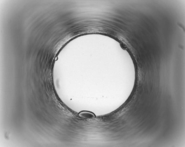 X0000100231089200806271744