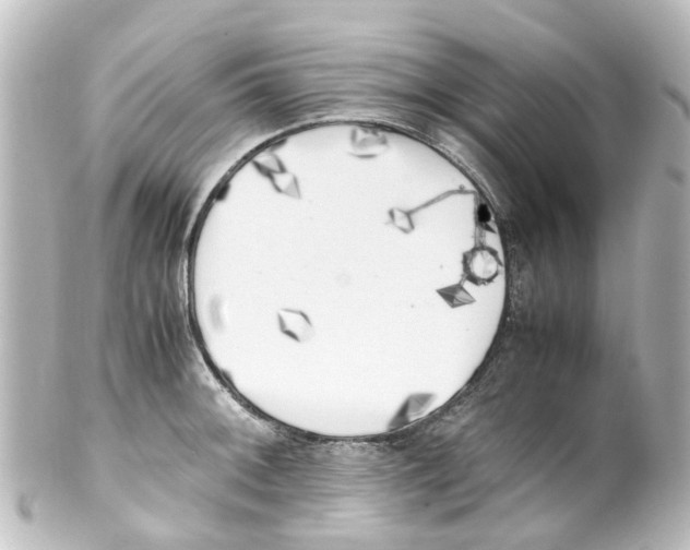 X0000100231092200806271744