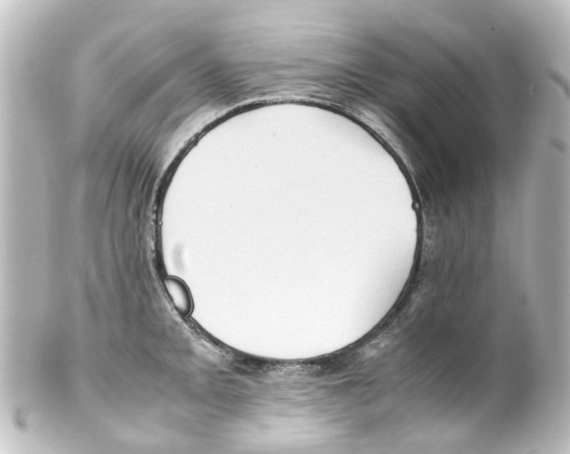 X0000100231093200806271744