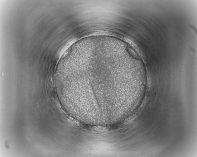 X0000100231097200806271744