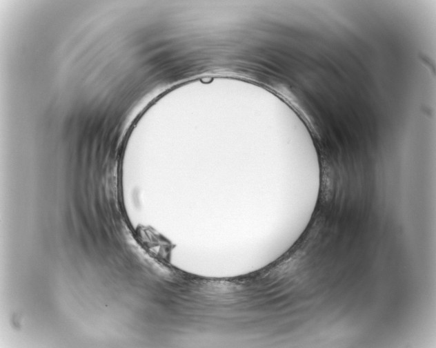 X0000100231100200806271744