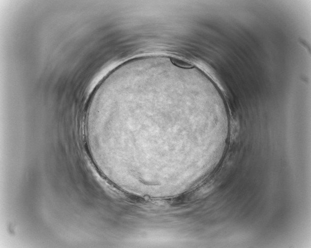 X0000100231101200806271744