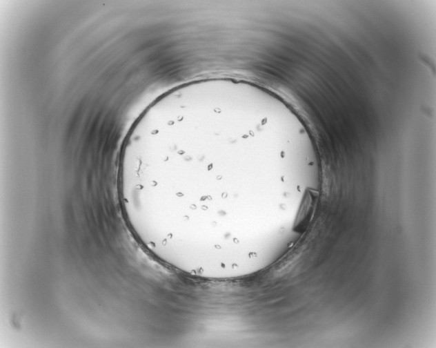 X0000100231102200806271744