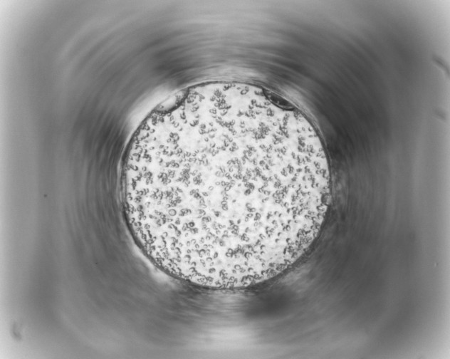 X0000100231103200806271744