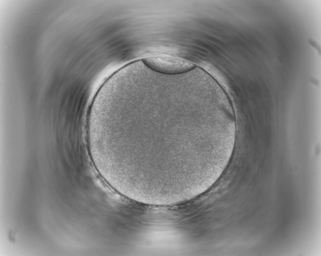 X0000100231104200806271744